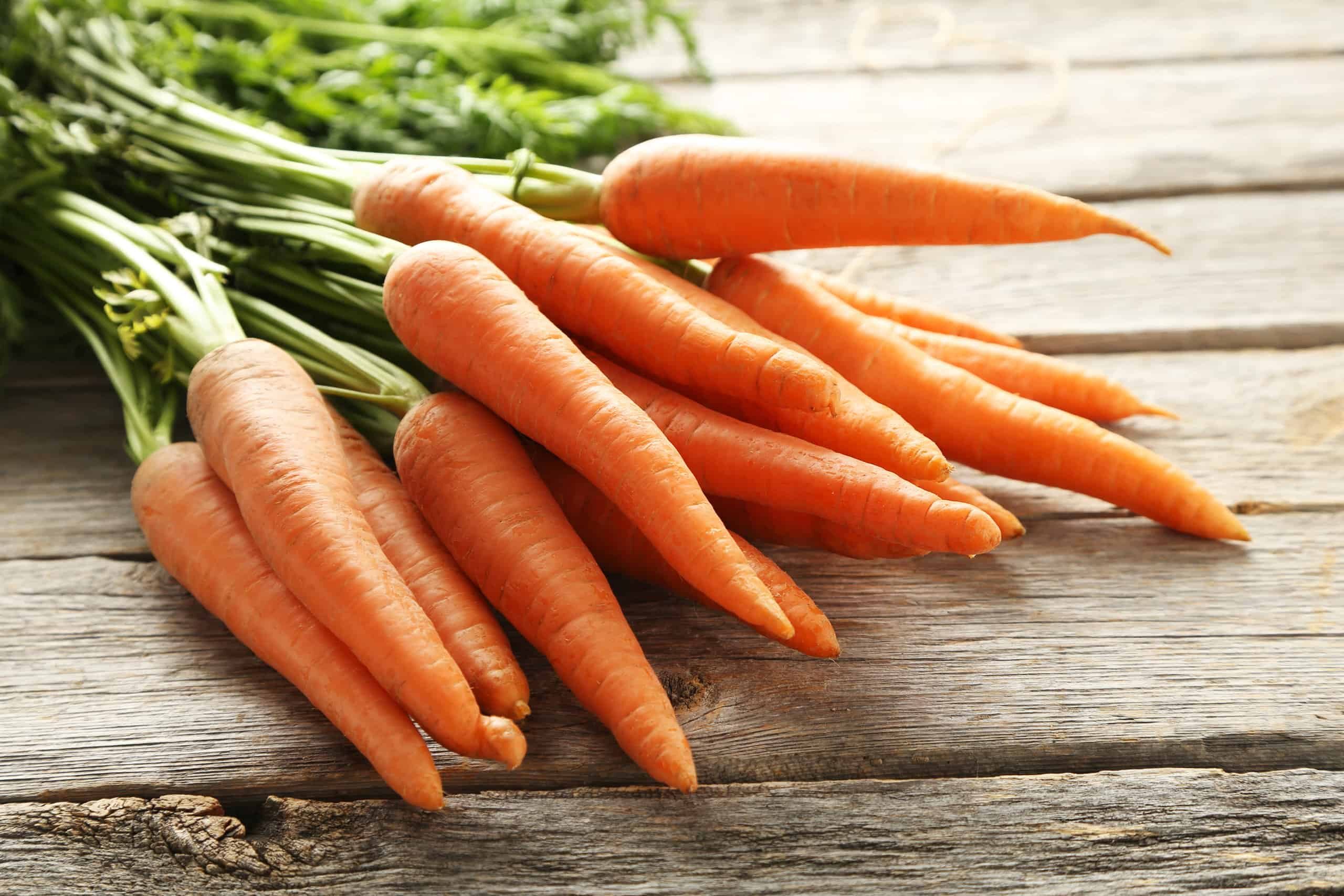 注目ブランド Carrot bunch | Gate City Harvest バッグ